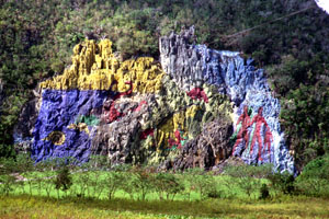 Vinales
