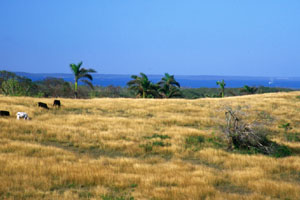 Cienfuegos