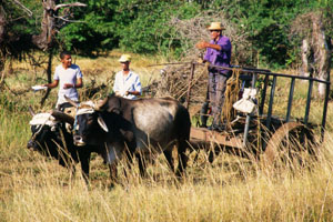 Cienfuegos