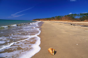 Playa Ingles