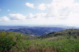 Trinidad