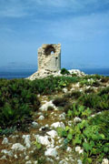 Riserva naturale di Caporama - WWF